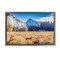 Stupell Industries Coyote in Mountain Prairie Floating Frame, design by Jeff Poe Photography